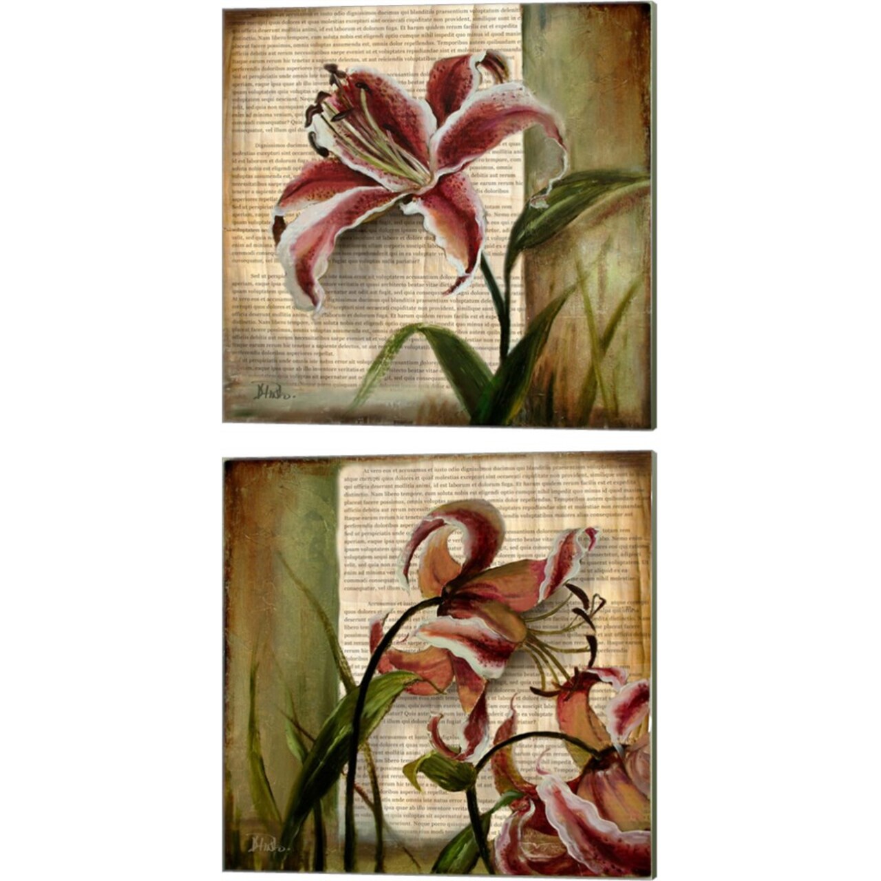 Vintage Studio by Patricia Pinto 14" x 14" Canvas Wall Art (Set of 2)